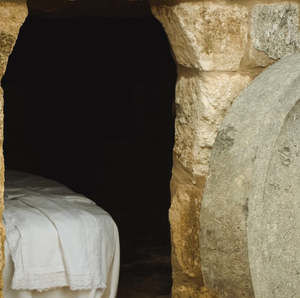 Meet your Posher, Martha